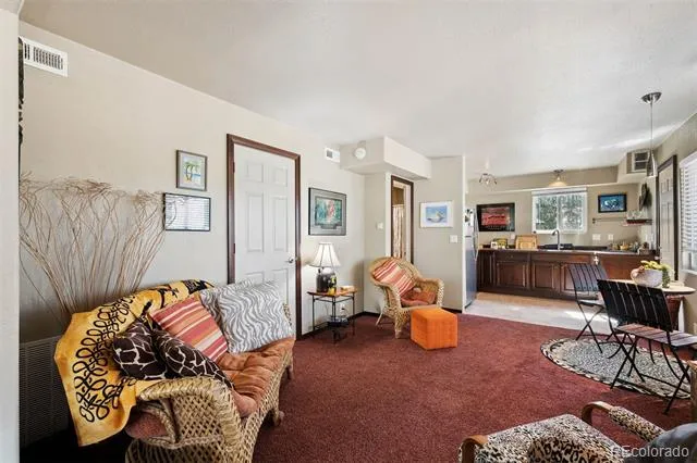 221 Juniper Lane Bailey, CO 80421