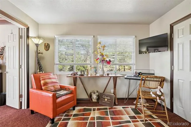221 Juniper Lane Bailey, CO 80421