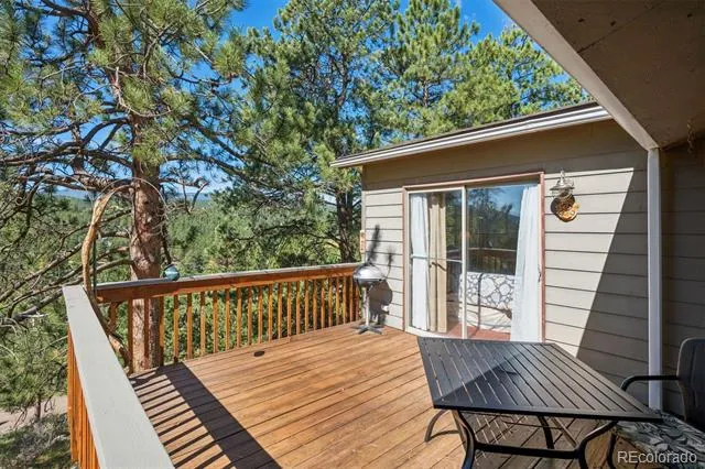 221 Juniper Lane Bailey, CO 80421