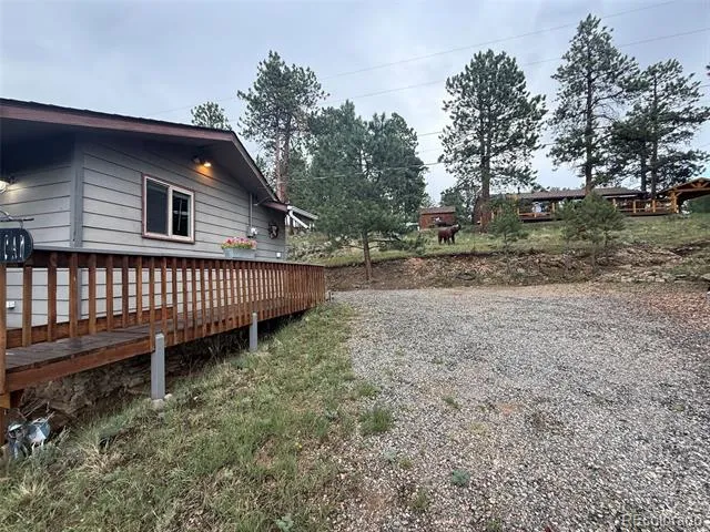 221 Juniper Lane Bailey, CO 80421