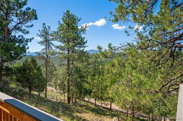 221 Juniper Lane Bailey, CO 80421