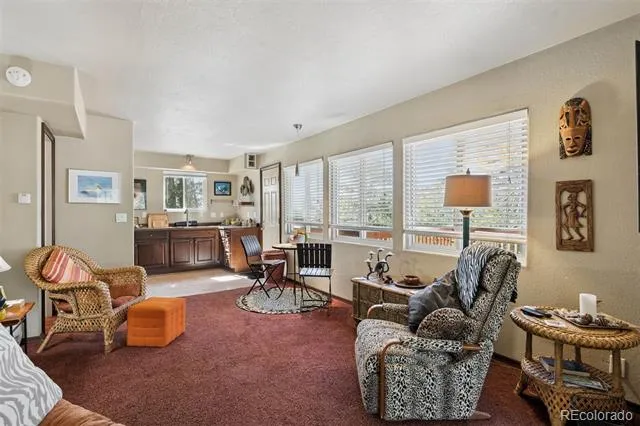 221 Juniper Lane Bailey, CO 80421