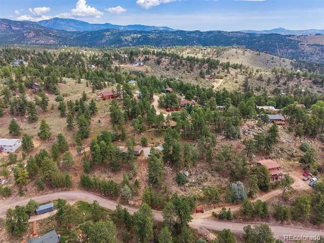 221 Juniper Lane Bailey, CO 80421