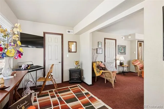 221 Juniper Lane Bailey, CO 80421
