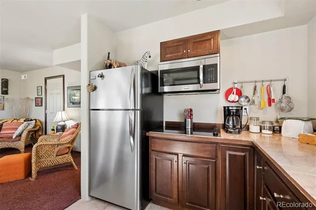 221 Juniper Lane Bailey, CO 80421