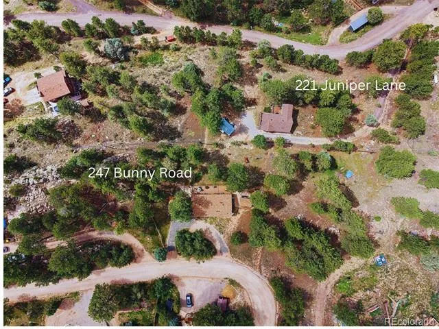 247 Bunny Road Bailey, CO 80421