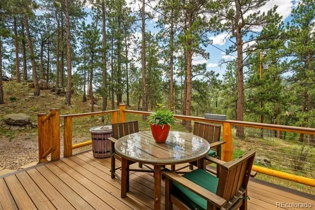 247 Bunny Road Bailey, CO 80421