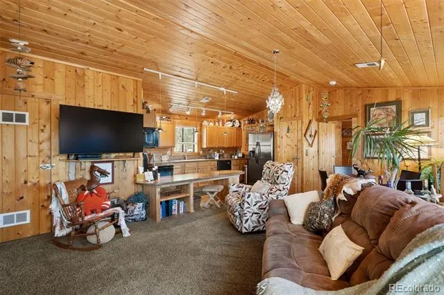 247 Bunny Road Bailey, CO 80421