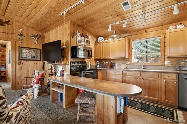 247 Bunny Road Bailey, CO 80421