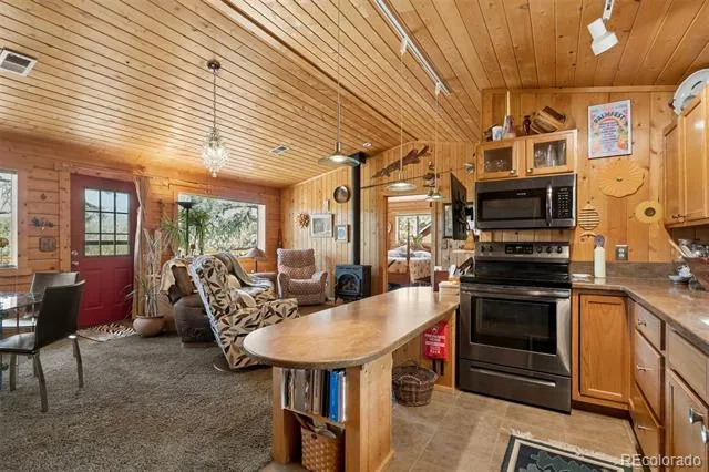 247 Bunny Road Bailey, CO 80421