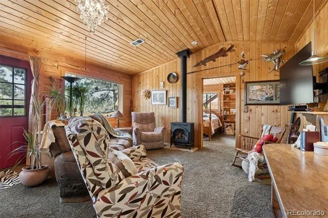 247 Bunny Road Bailey, CO 80421