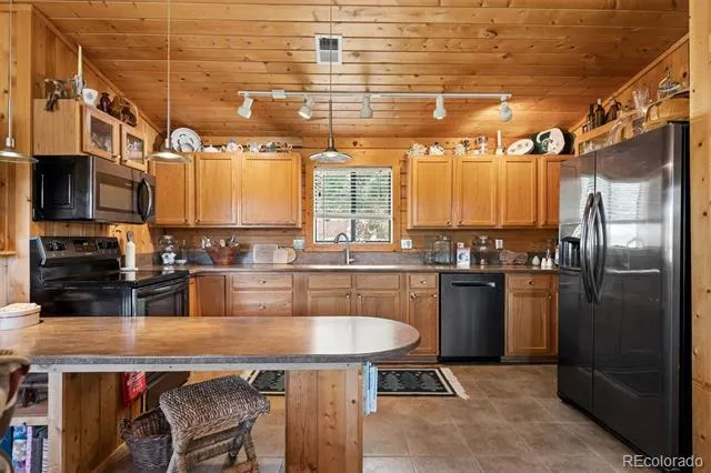 247 Bunny Road Bailey, CO 80421