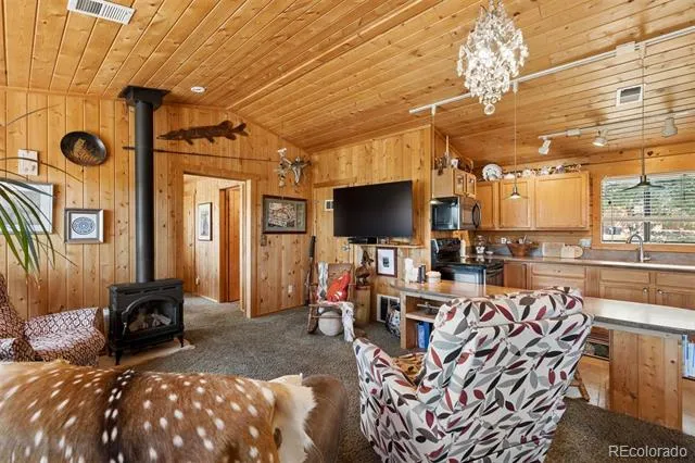 247 Bunny Road Bailey, CO 80421