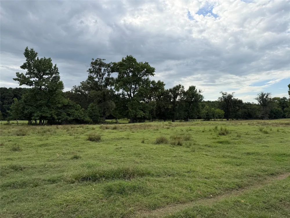 225 Farm to Market Rd 21 Pittsburg, TX 75686