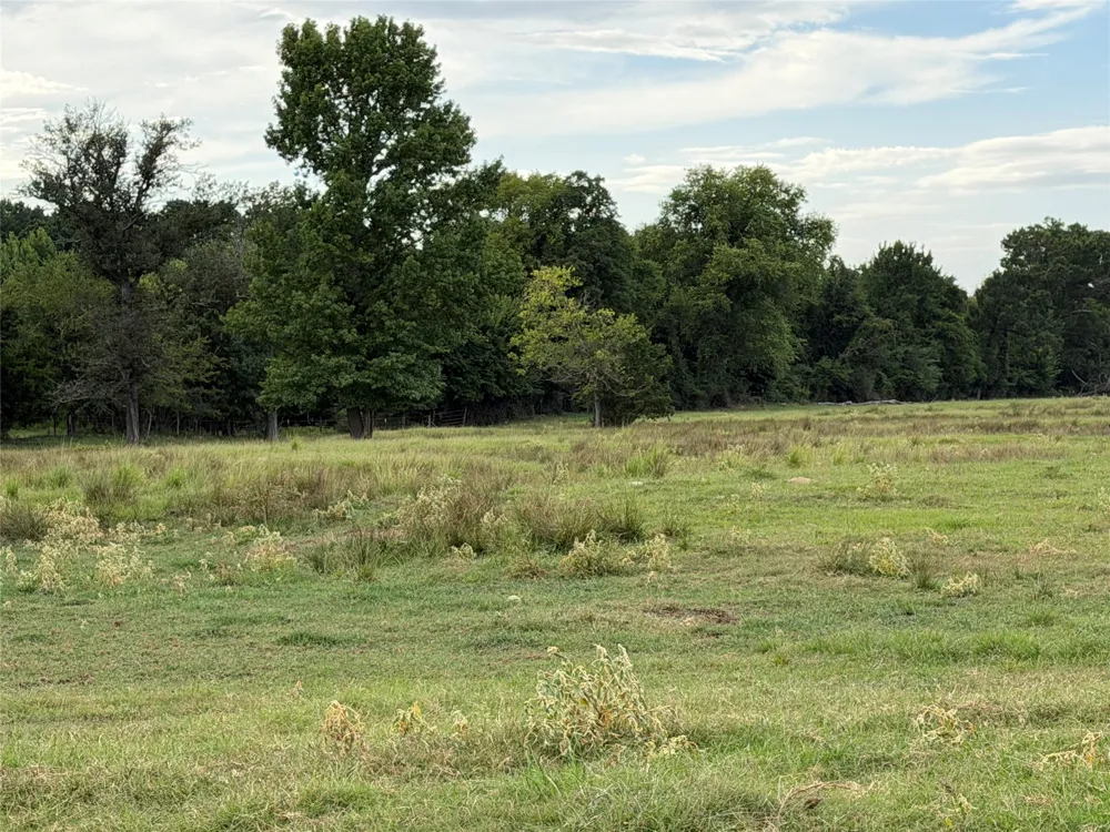 225 Farm to Market Rd 21 Pittsburg, TX 75686