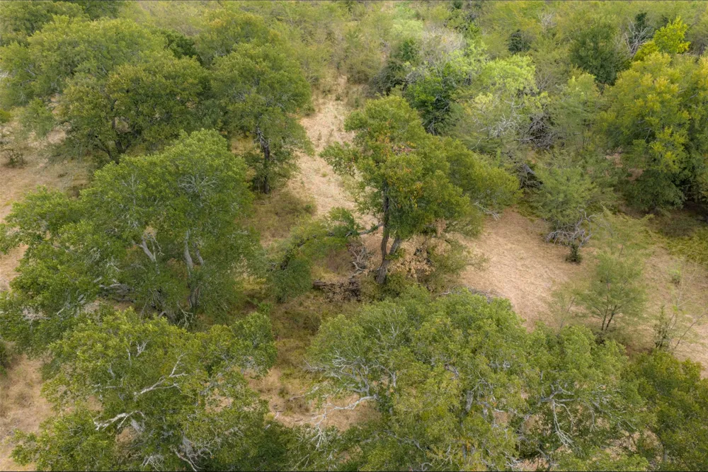 CR 2623 Wills Point, TX 75169