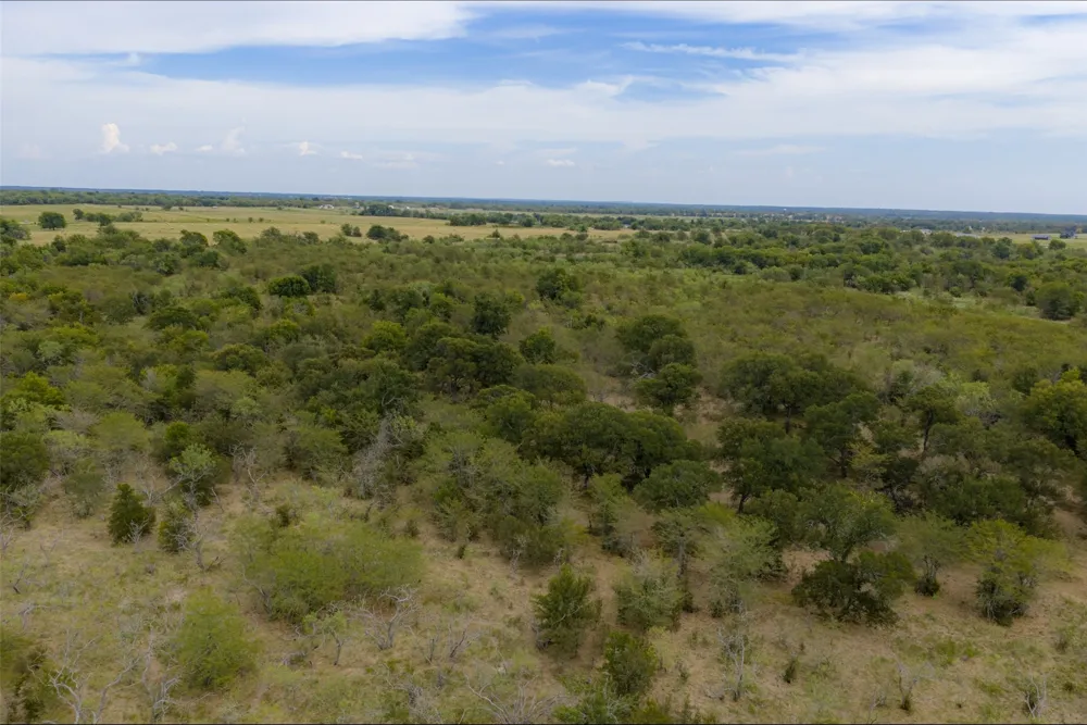 CR 2623 Wills Point, TX 75169