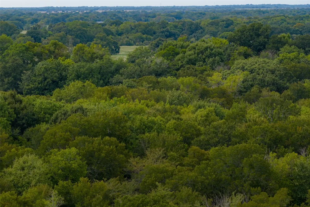 CR 2623 Wills Point, TX 75169