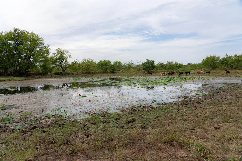 CR 2623 Wills Point, TX 75169