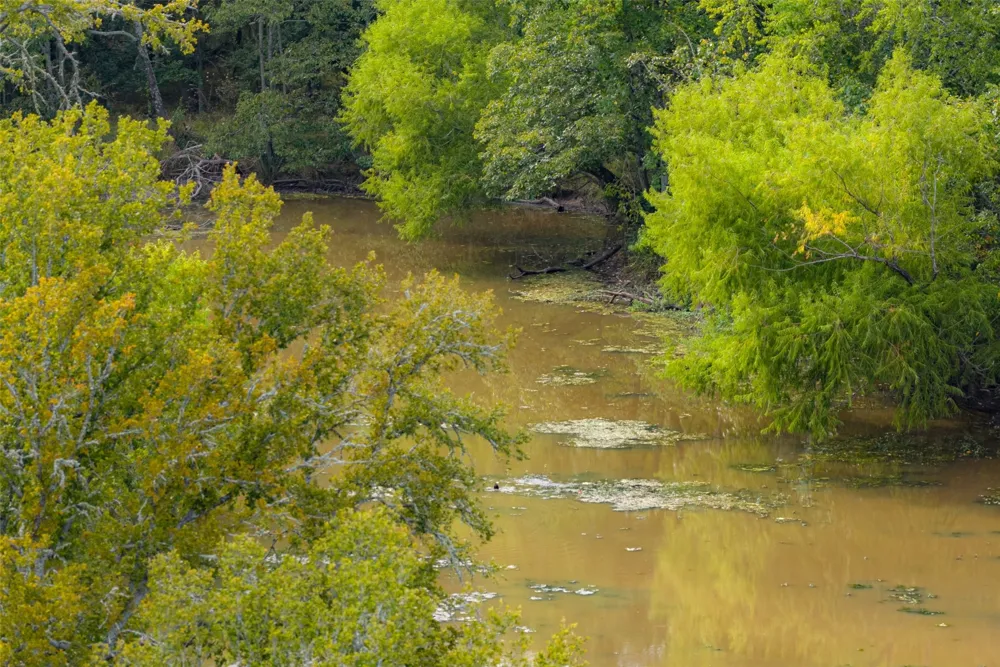 CR 2623 Wills Point, TX 75169