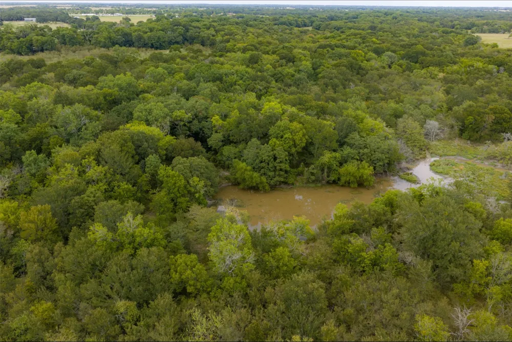 CR 2623 Wills Point, TX 75169
