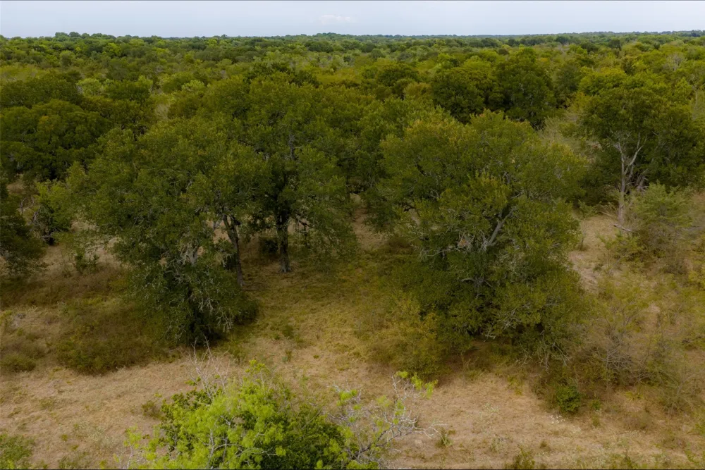 CR 2623 Wills Point, TX 75169
