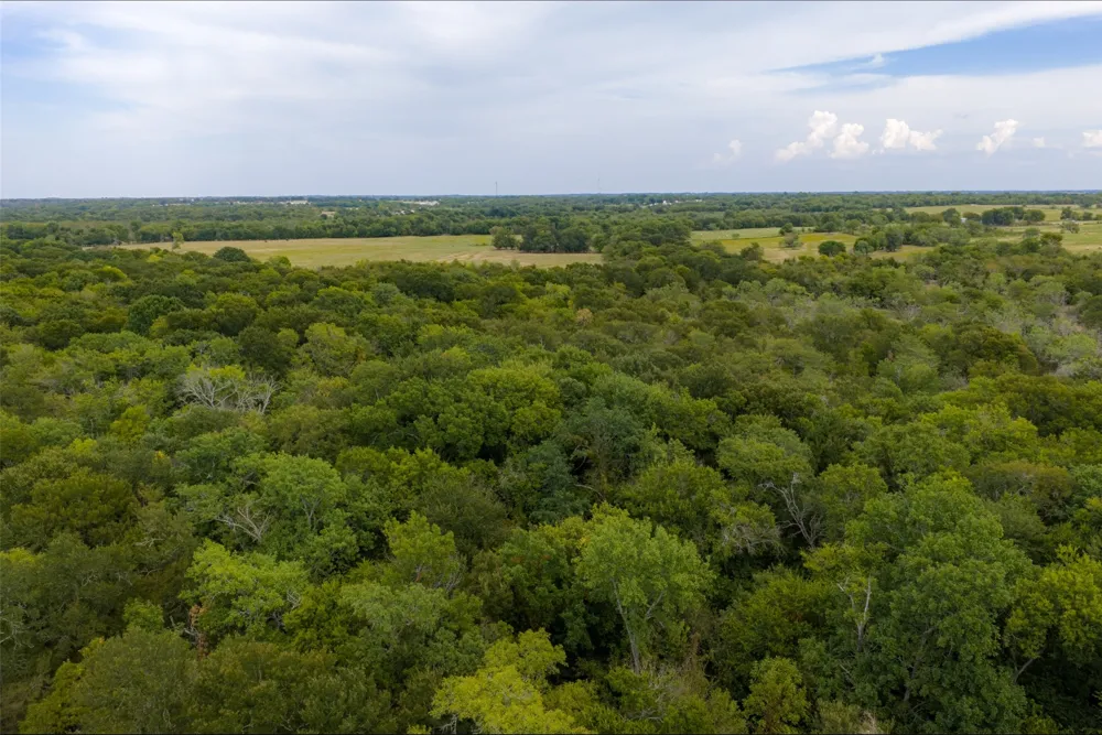 CR 2623 Wills Point, TX 75169