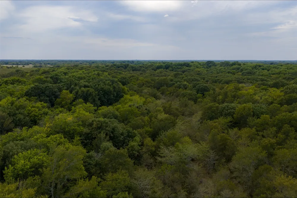 CR 2623 Wills Point, TX 75169