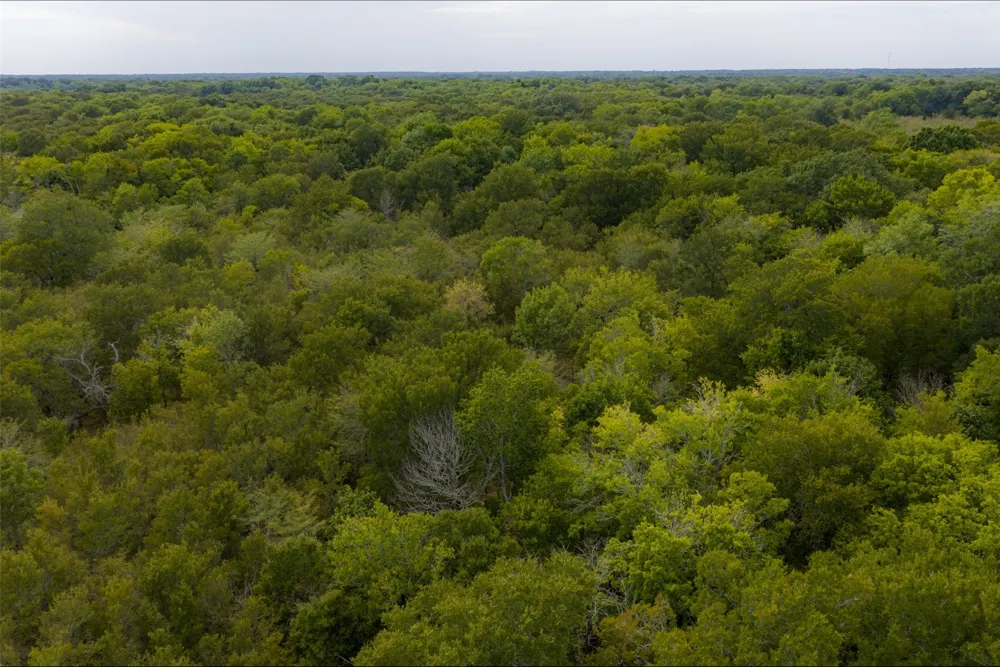 CR 2623 Wills Point, TX 75169