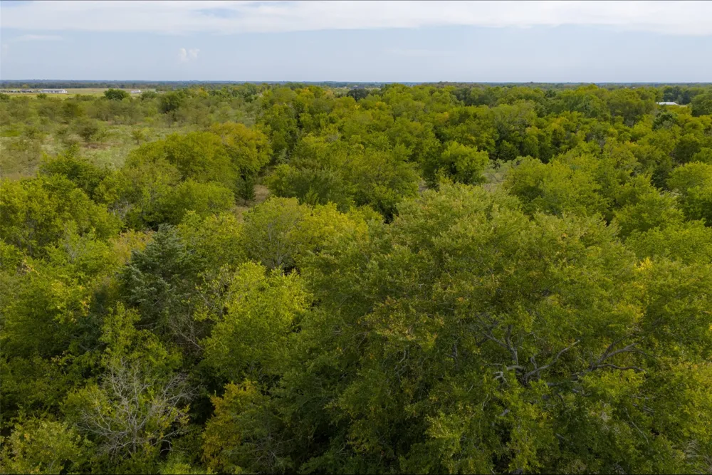 CR 2623 Wills Point, TX 75169