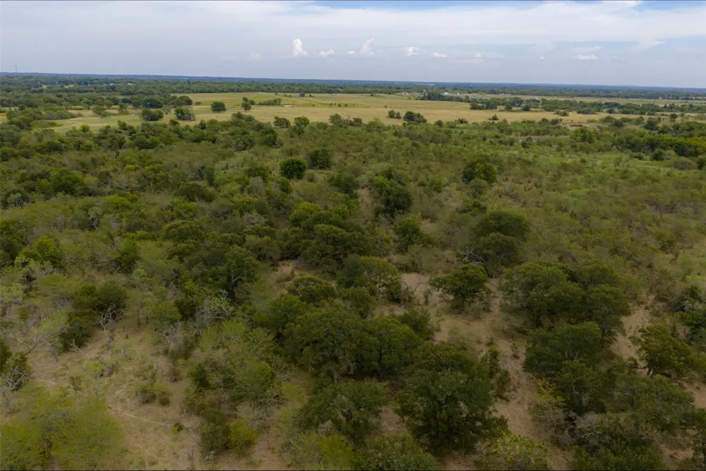 CR 2623 Wills Point, TX 75169