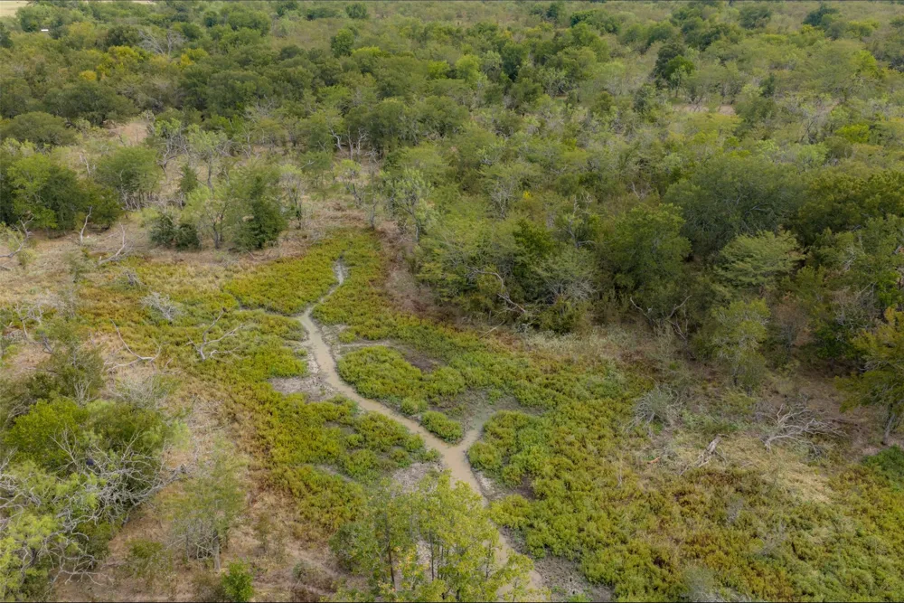 CR 2623 Wills Point, TX 75169