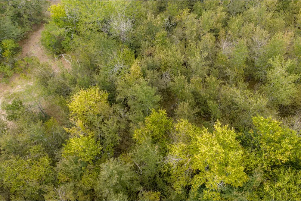 CR 2623 Wills Point, TX 75169