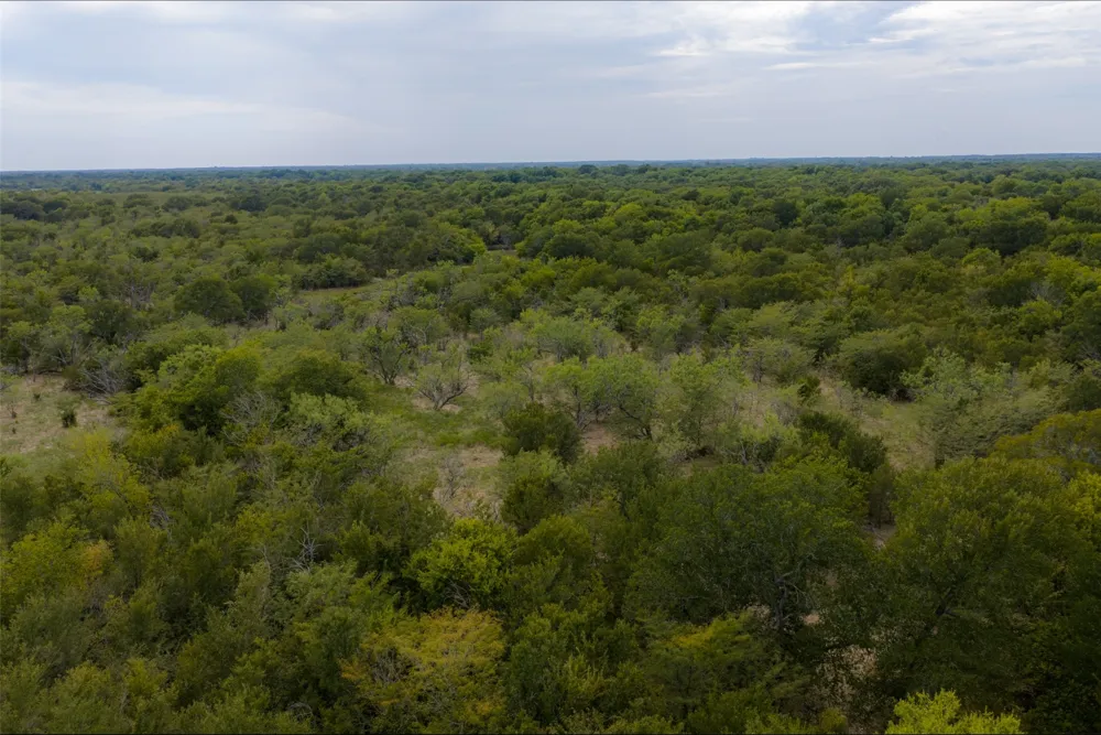 CR 2623 Wills Point, TX 75169