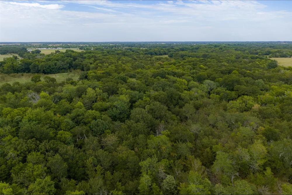 CR 2623 Wills Point, TX 75169