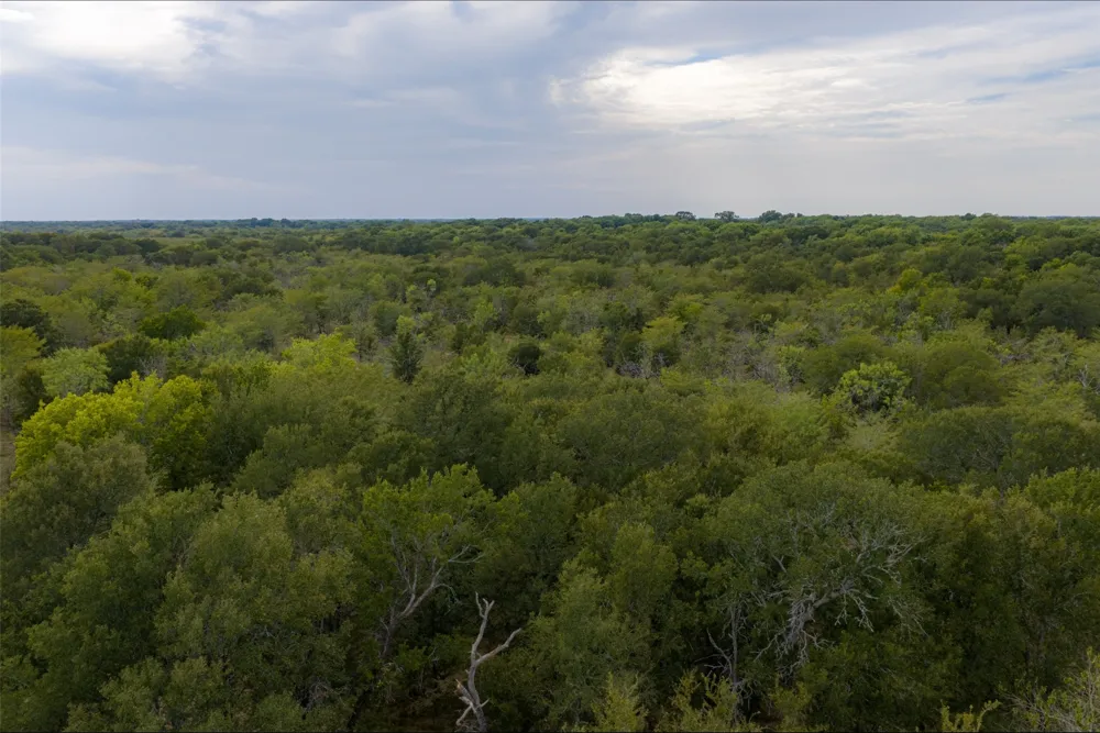 CR 2623 Wills Point, TX 75169