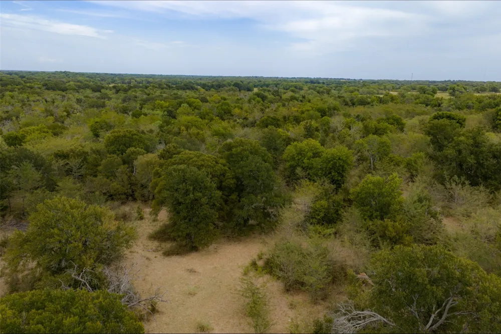 CR 2623 Wills Point, TX 75169