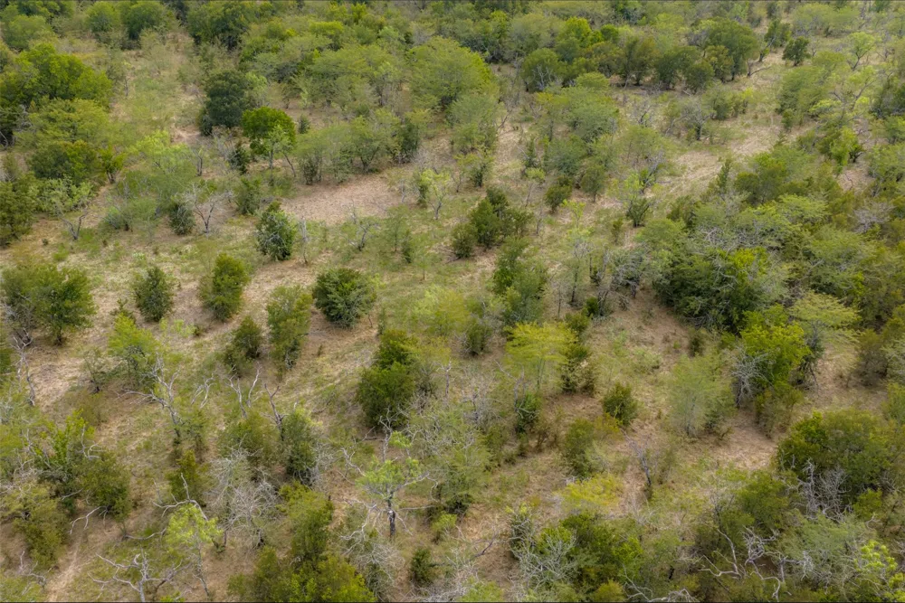 CR 2623 Wills Point, TX 75169
