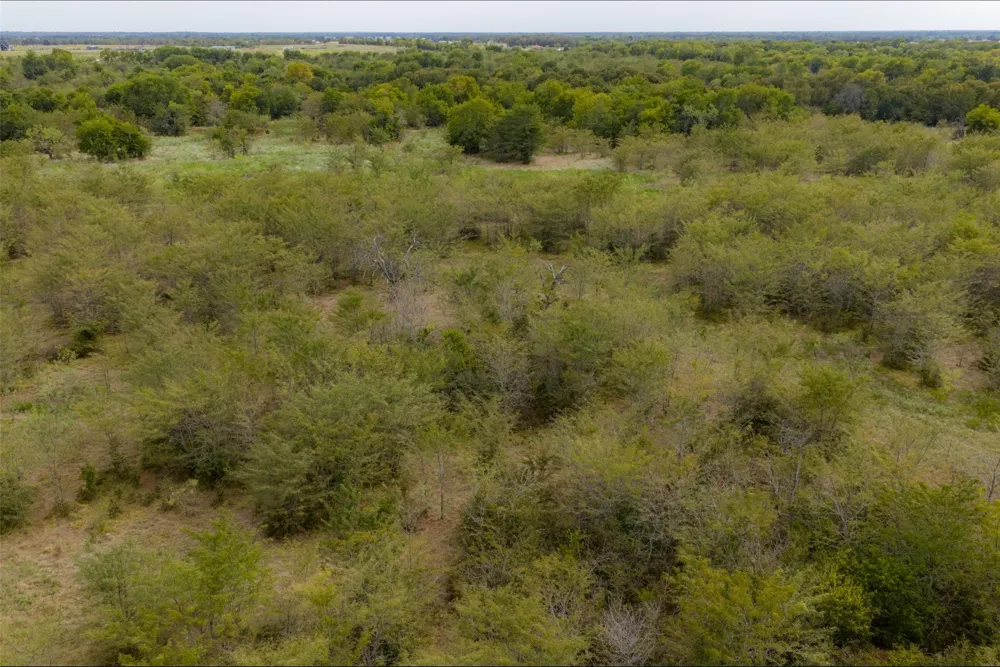 CR 2623 Wills Point, TX 75169