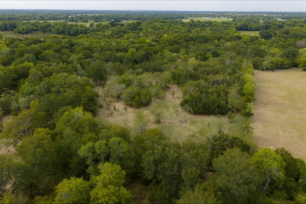 CR 2623 Wills Point, TX 75169
