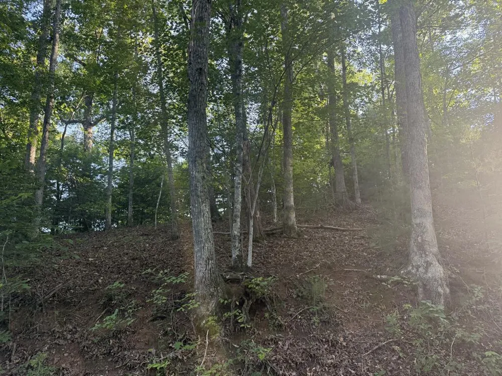 Canterbury Road Cullowhee, NC 28723