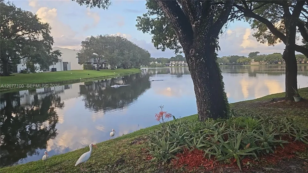 1064 NW 97th Ave #219 Pembroke Pines, FL 33024