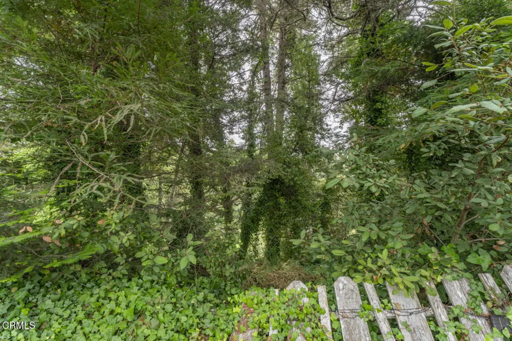 460 Alger Street Fort Bragg, CA 95437