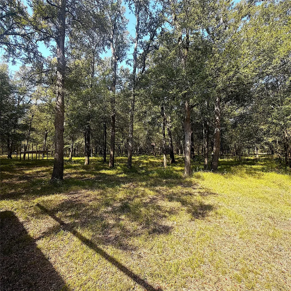 7991 Pr 1235 Centerville, TX 75833