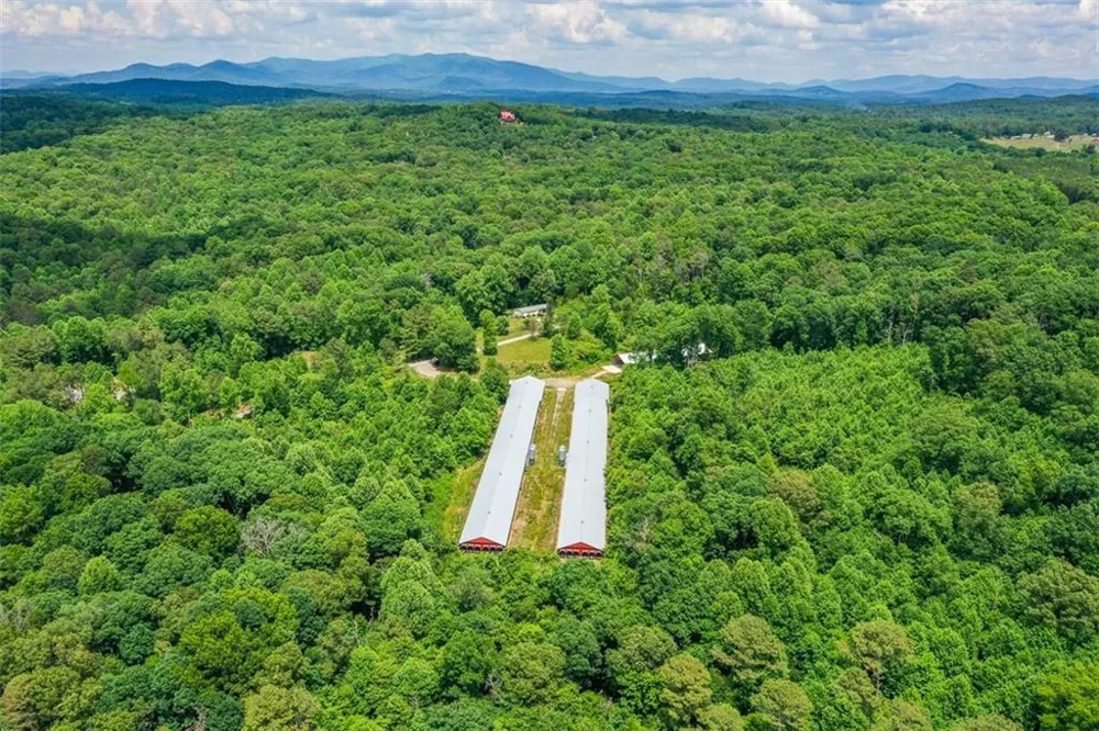 1010 Painter Road Talking Rock, GA 30175