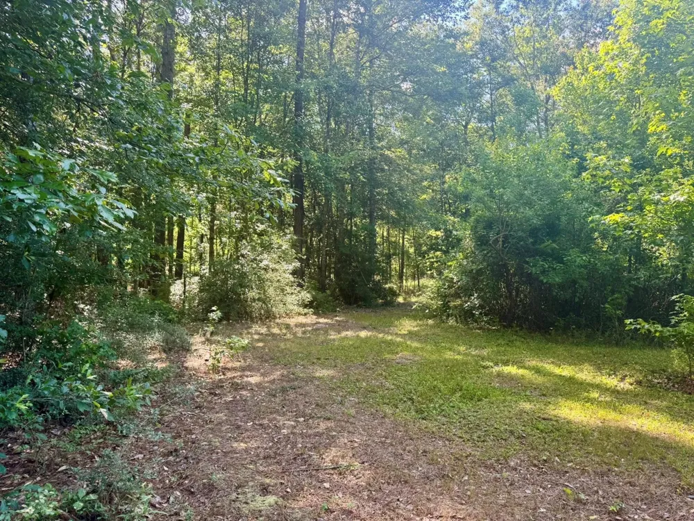4720 Hwy 21 E Hemphill, TX 75948