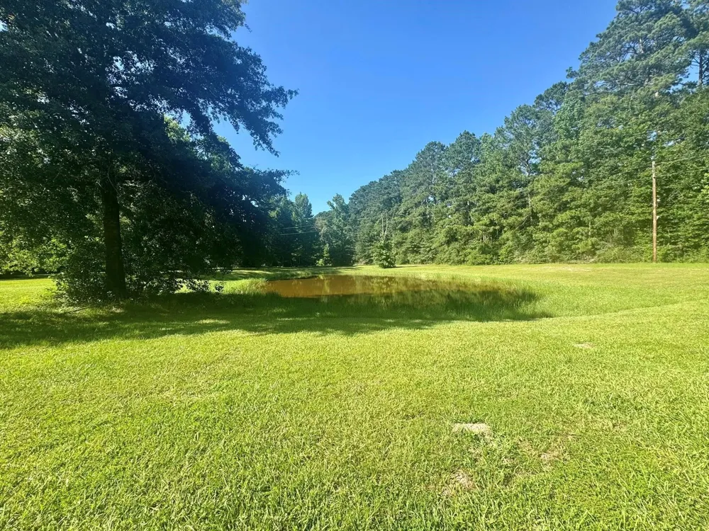 4720 Hwy 21 E Hemphill, TX 75948