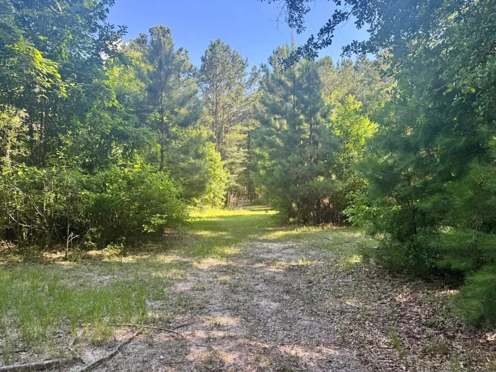 4720 Hwy 21 E Hemphill, TX 75948