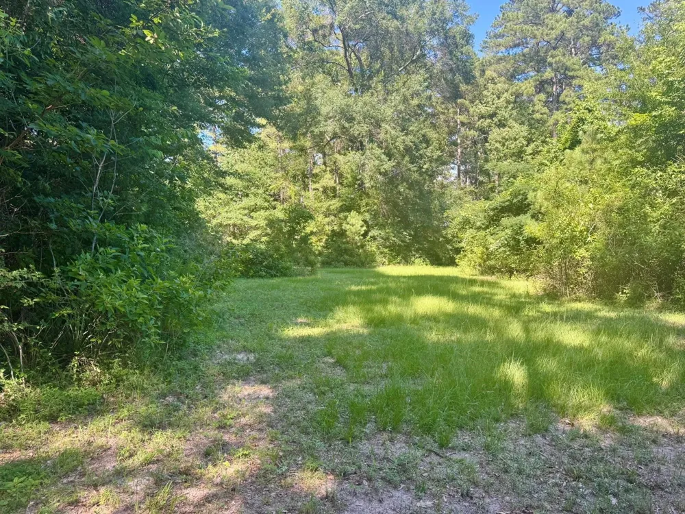 4720 Hwy 21 E Hemphill, TX 75948