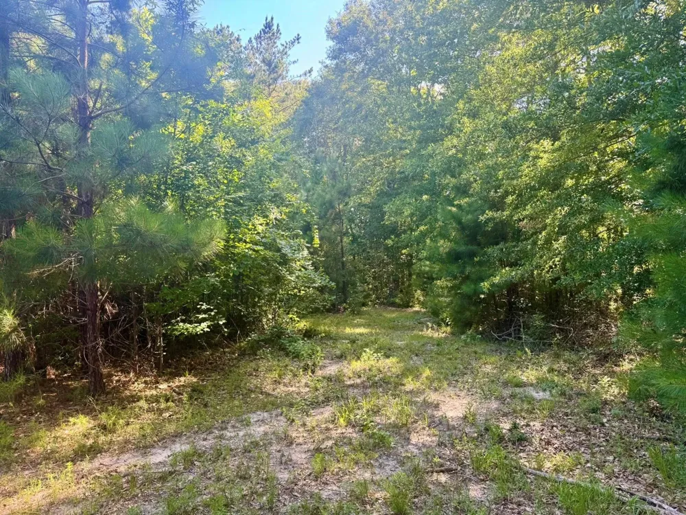 4720 Hwy 21 E Hemphill, TX 75948